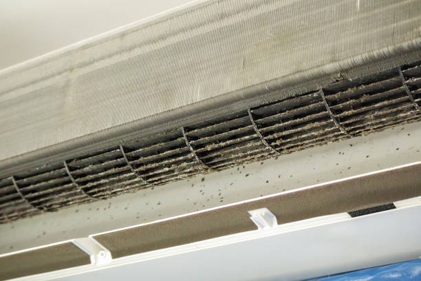 Best HVAC System Cleaning  in Taylor, MI